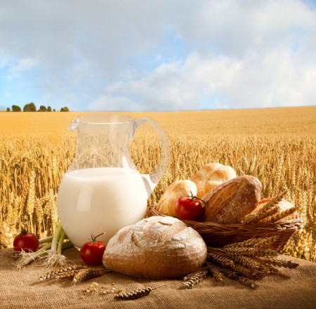 L-734 Pan y leche